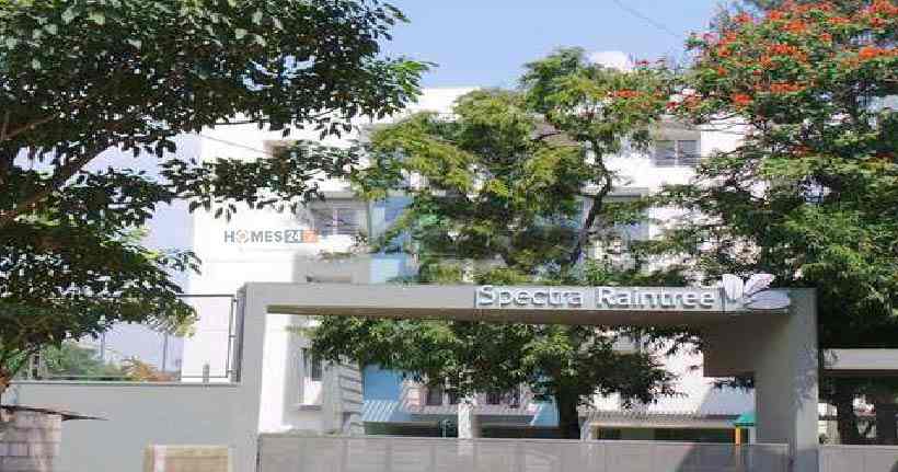 Spectra Raintree Cover Image